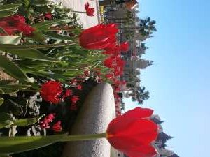 ???????????????????????????????