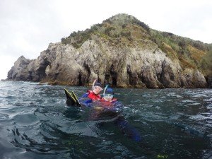 ???????????????????????